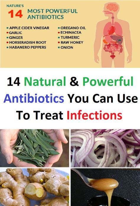 14 Natural &  Powerful Antibiotics You Can Use To Treat Infections