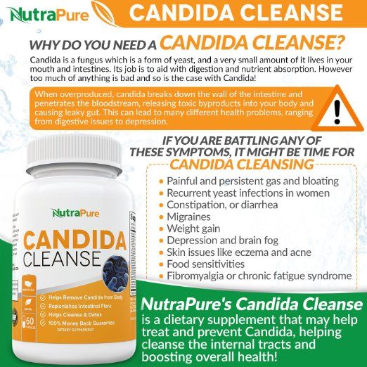 Amazon.com: Best Candida Cleanse and Yeast Infection Supplement ...