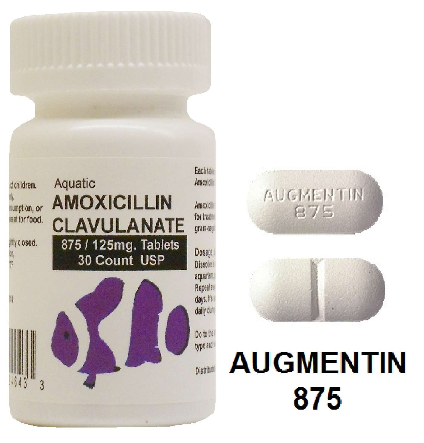 Amoxicillin And Clavulanate Potassium For Tooth Infection ...