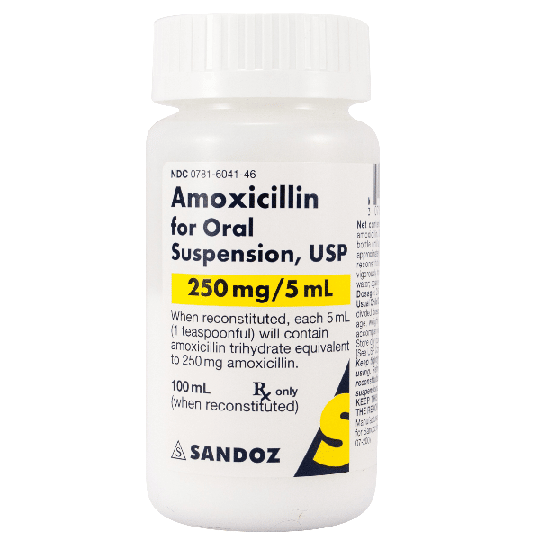 Amoxicillin Oral Suspension USP 250mg/5mL (100 ml)
