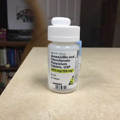 Amoxicillin Pot Clavulanate 875 125 Mg Oral Tablet ...