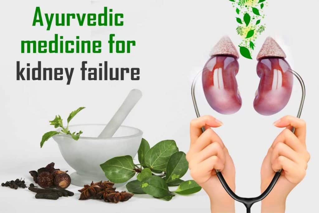 Best Ayurvedic Medicine For Kidney Failure
