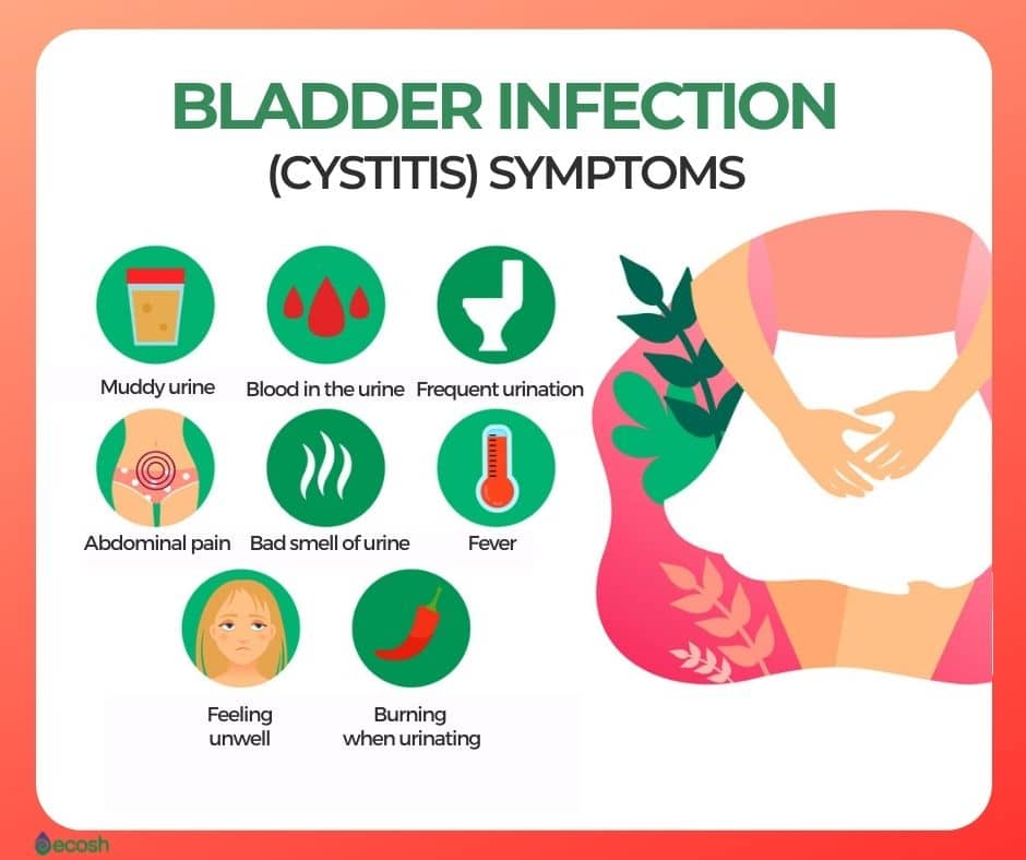 BLADDER INFECTION (CYSTITIS)