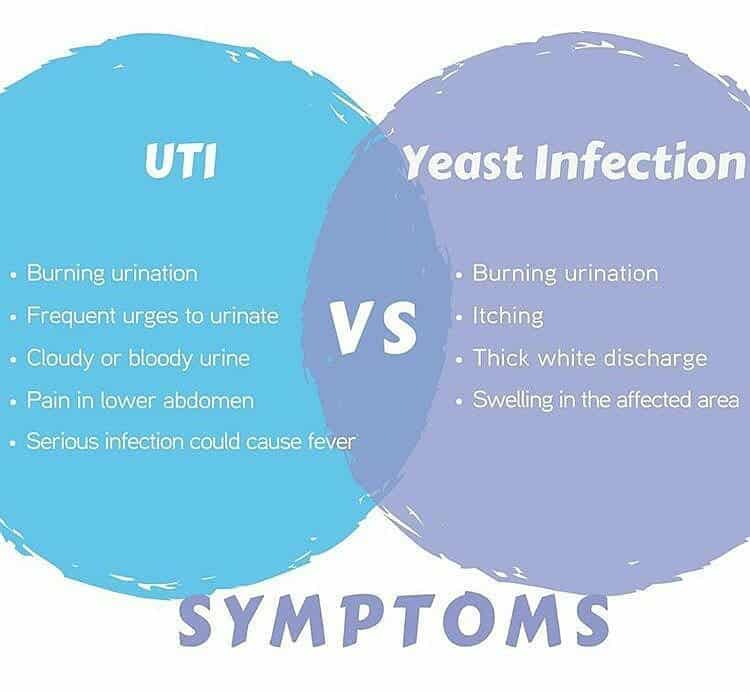 BV and yeast infections both fall under the broad category of vaginal ...