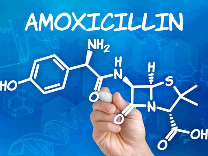 Can Yeast Infections Be a Side Effect of Taking Amoxicillin?