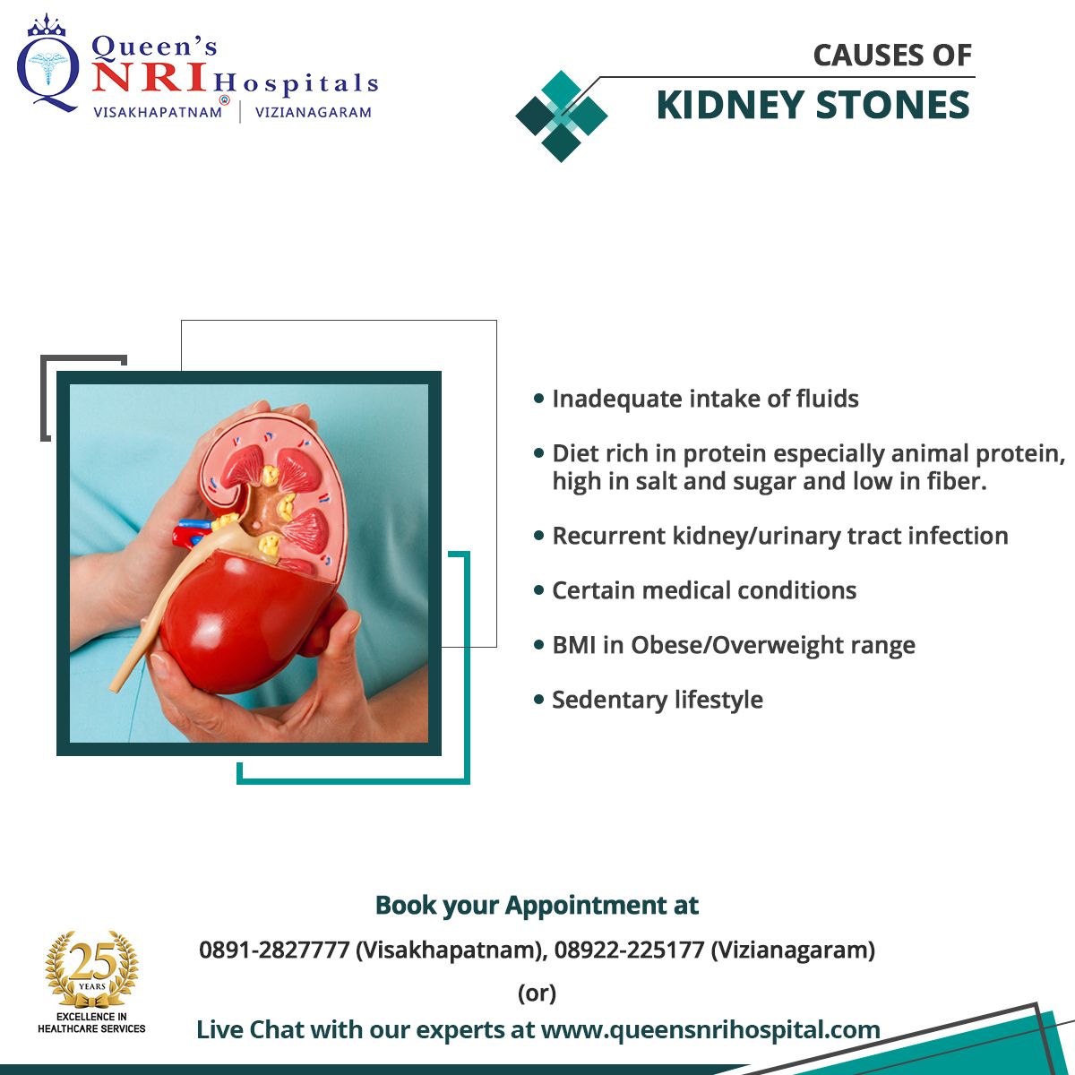 Causes of Kidney Stones. Queen