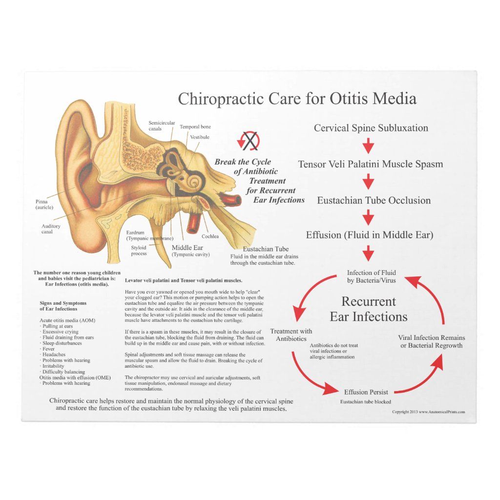 Chiropractic Care for Ear Infections Handouts Notepad