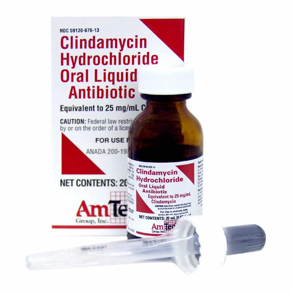 Clindamycin Hydrochloride Rx, Oral Drops, 20 ml