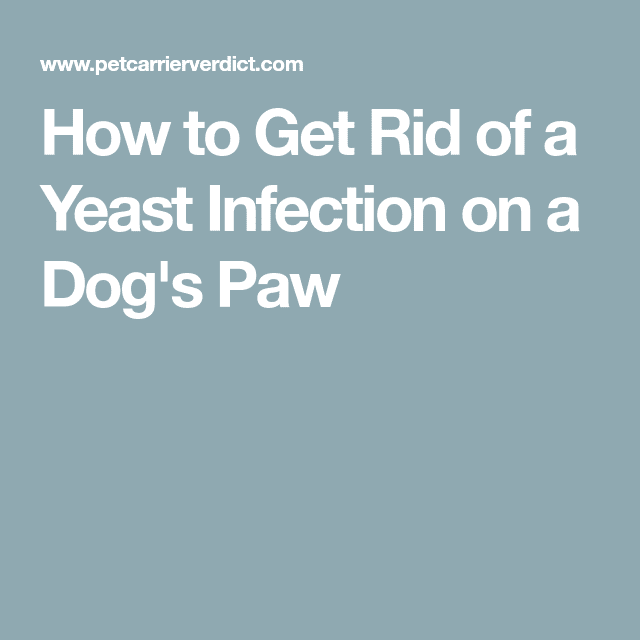 Dealing with yeast infections is aggravating and also annoying. Luckily ...