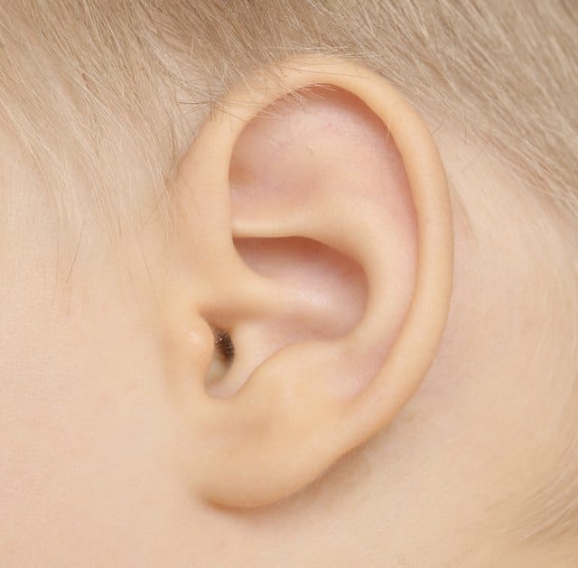 Effects of Ear Infection on the Brain
