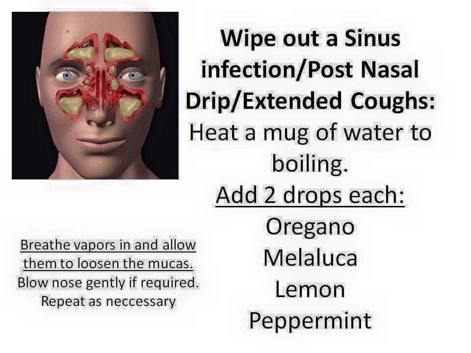 Essential Oils for Sinus Infection