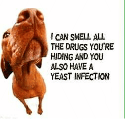Funny Yeast Infection Memes of 2016 on SIZZLE