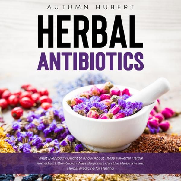 Herbal Antibiotics: What Everybody Ought to Know About These Powerful ...