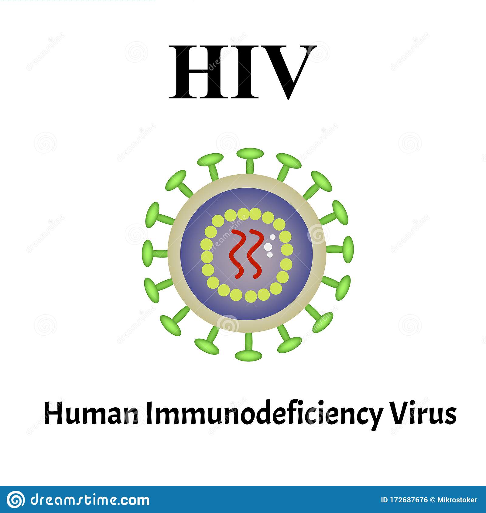 HIV Virus Structure. Viral Infection HIV, AIDS. Sexually Transmitted ...