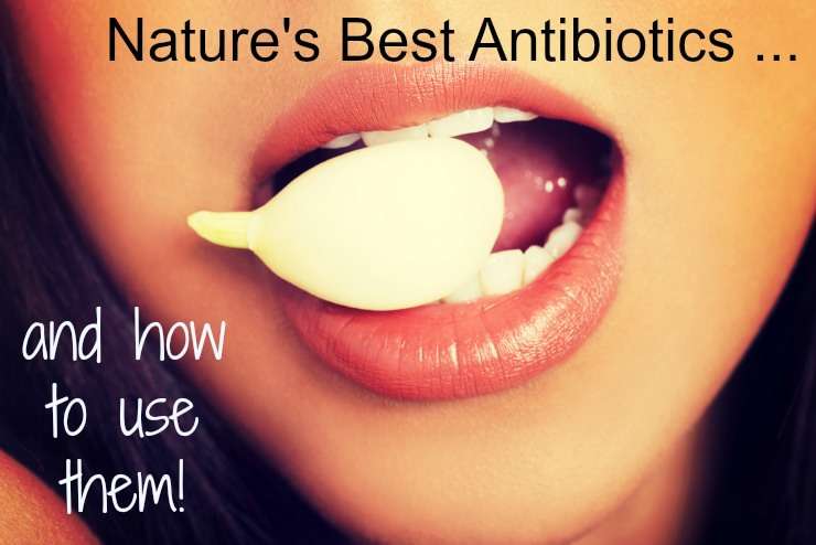 How to SAFELY Use the 11 Best Natural Antibiotics