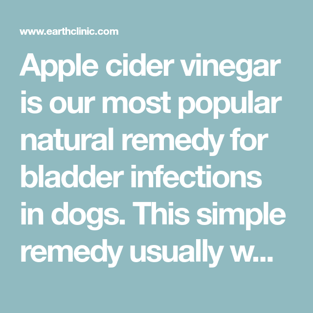 How to Use Apple Cider Vinegar for Bladder Infections in Dogs