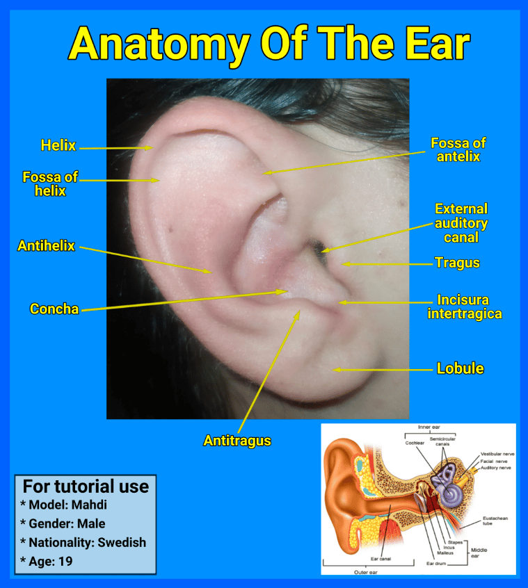 Im skeptical about  pediatric ear infections.