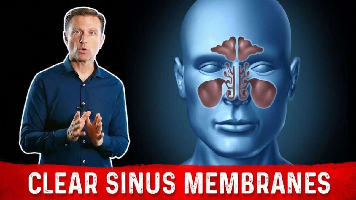 In this video, I explain the best nutrients for sinus membranes # ...