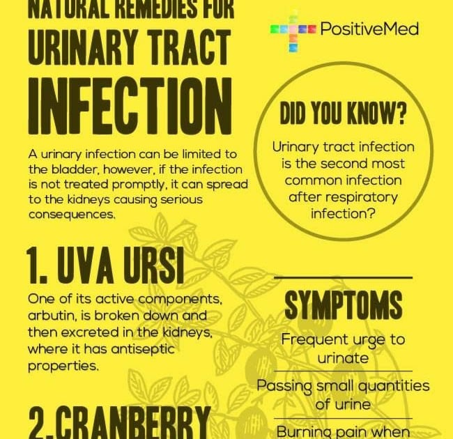Kidney Infection And Uti The Same