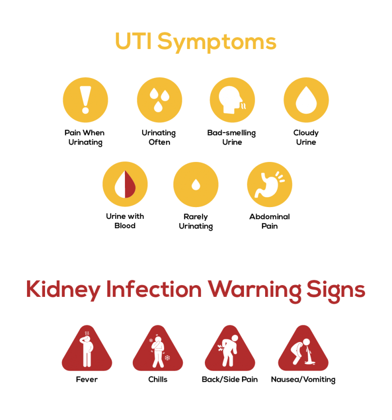 Kidney Infection vs UTI: What