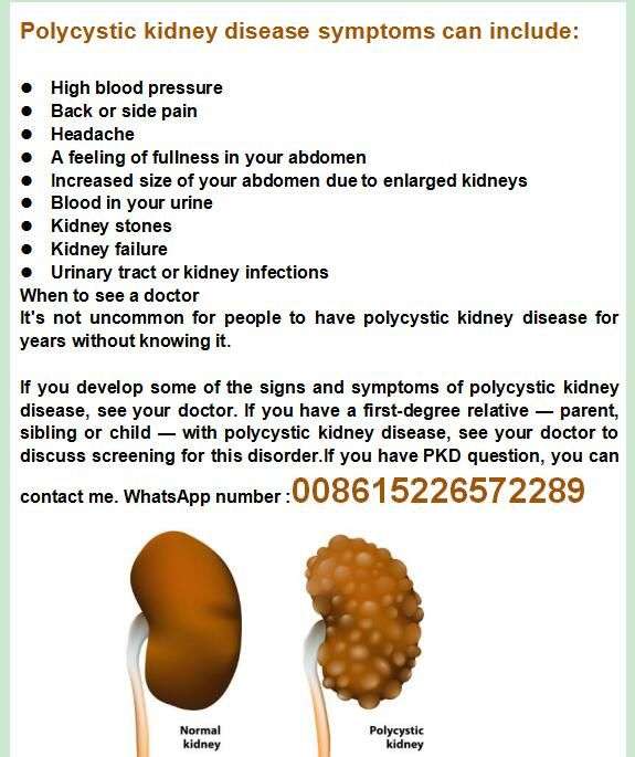 Kidney Stones And Uti Infections