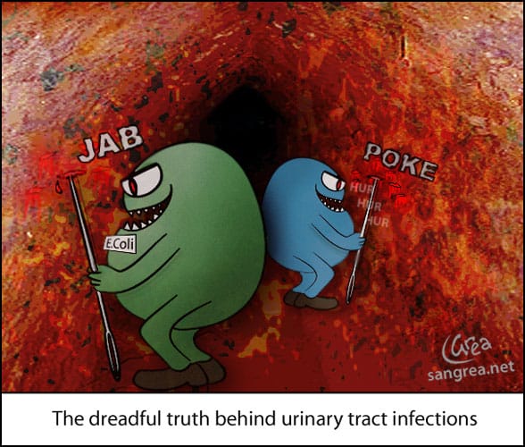 Lindsay High Biology Project: Urinary Tract Infections (UTI