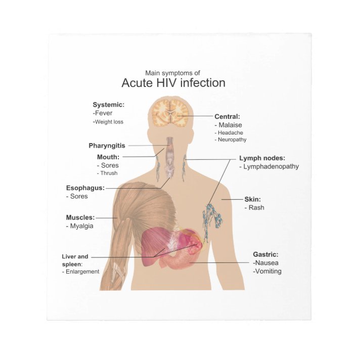 Main Symptoms of Acute HIV Infection Notepad