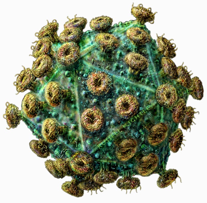 MedFriendly Medical Blog: Pictures of 10 Deadly Viruses, Bacteria ...