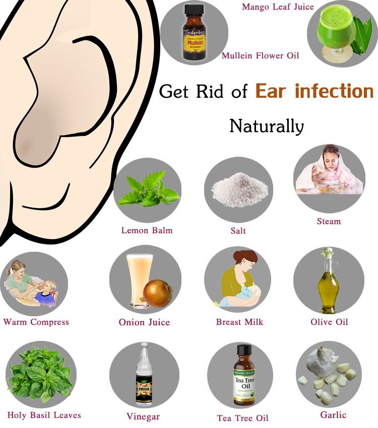 Middle Ear Infection Antibiotics Adults