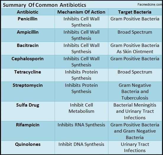 Names Of Penicillin Antibiotics