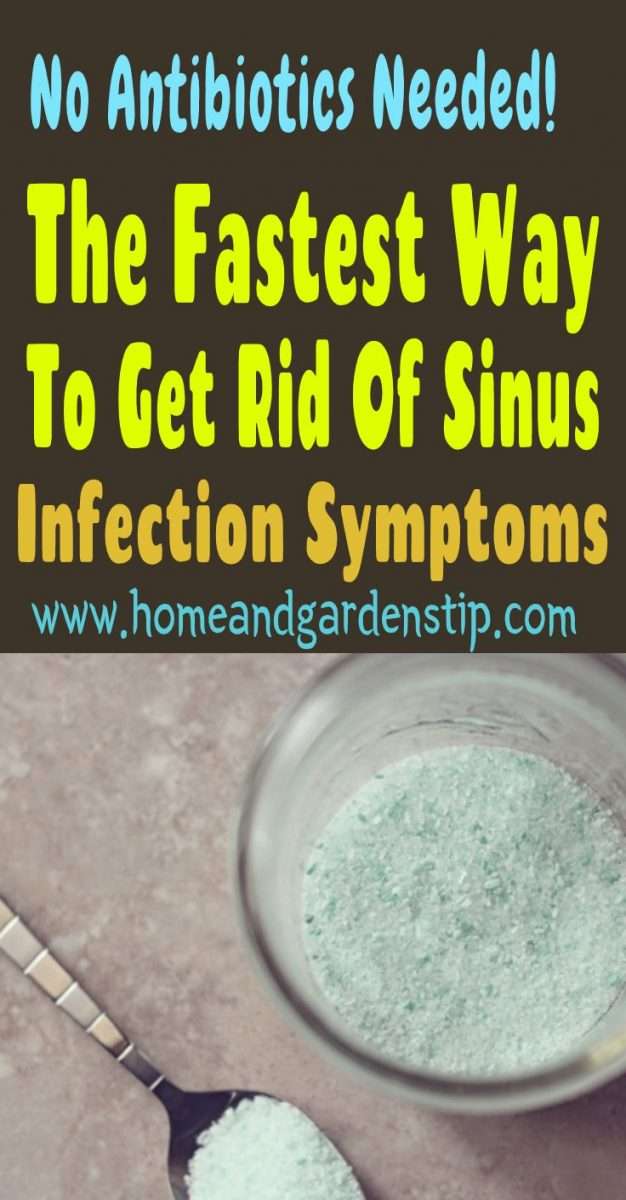 No Antibiotics Needed! The Fastest Way To Get Rid Of Sinus Infection ...