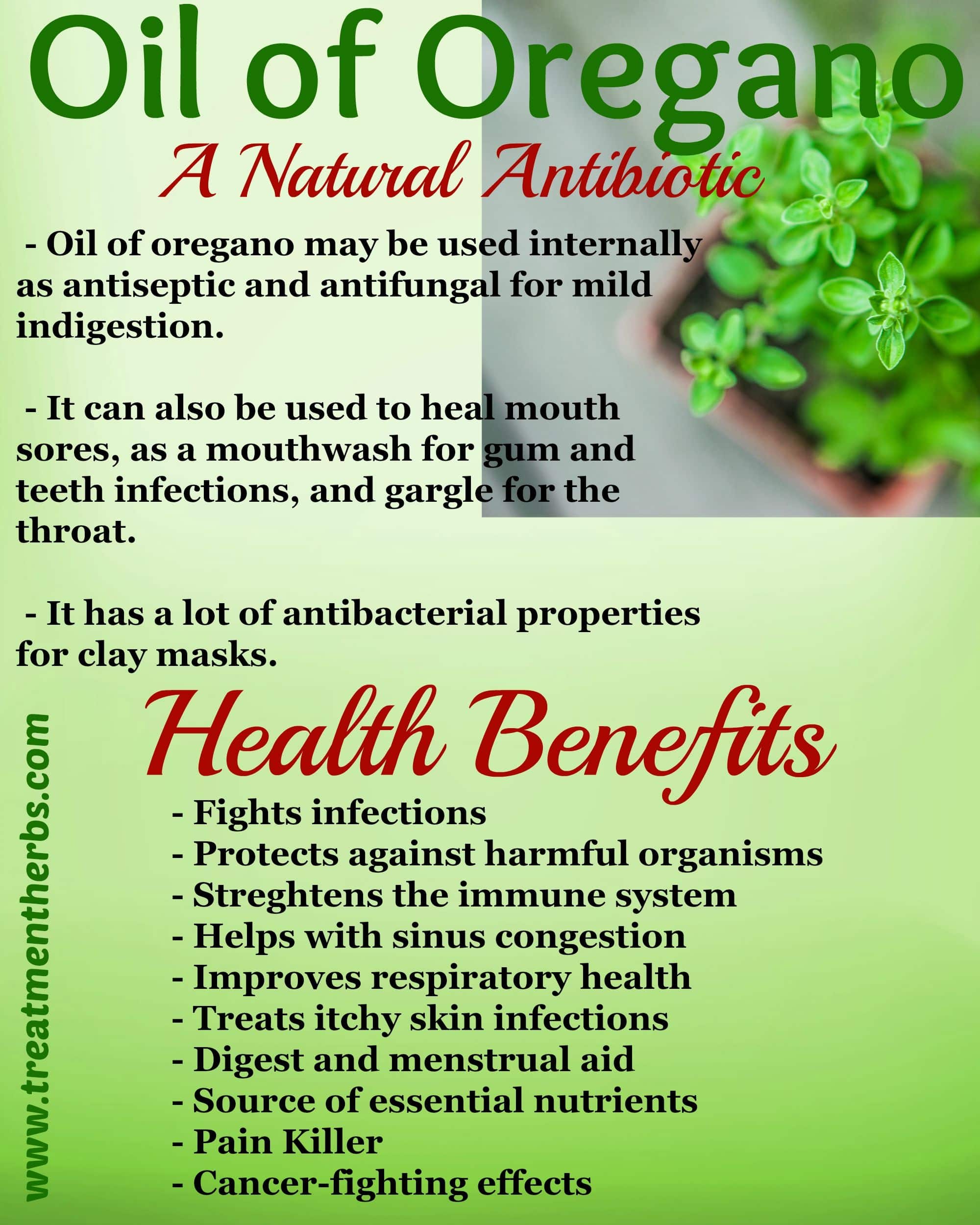 Oregano Oil For Tooth Infection