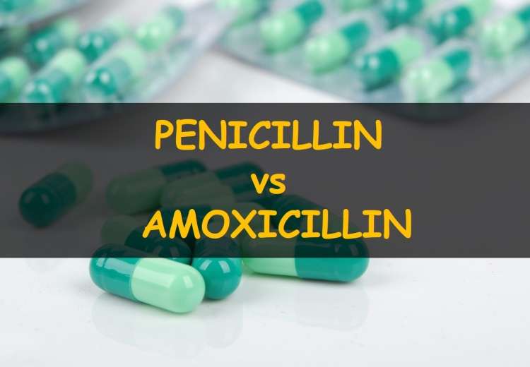 Penicillin vs Amoxicillin