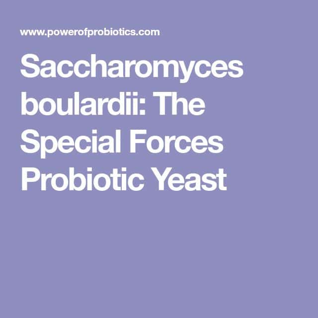 Saccharomyces boulardii: The Special Forces Probiotic Yeast ...