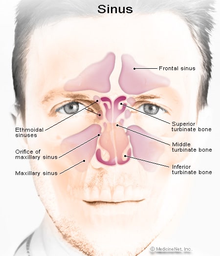 Signs And Symptoms Of Sinus Infection ????