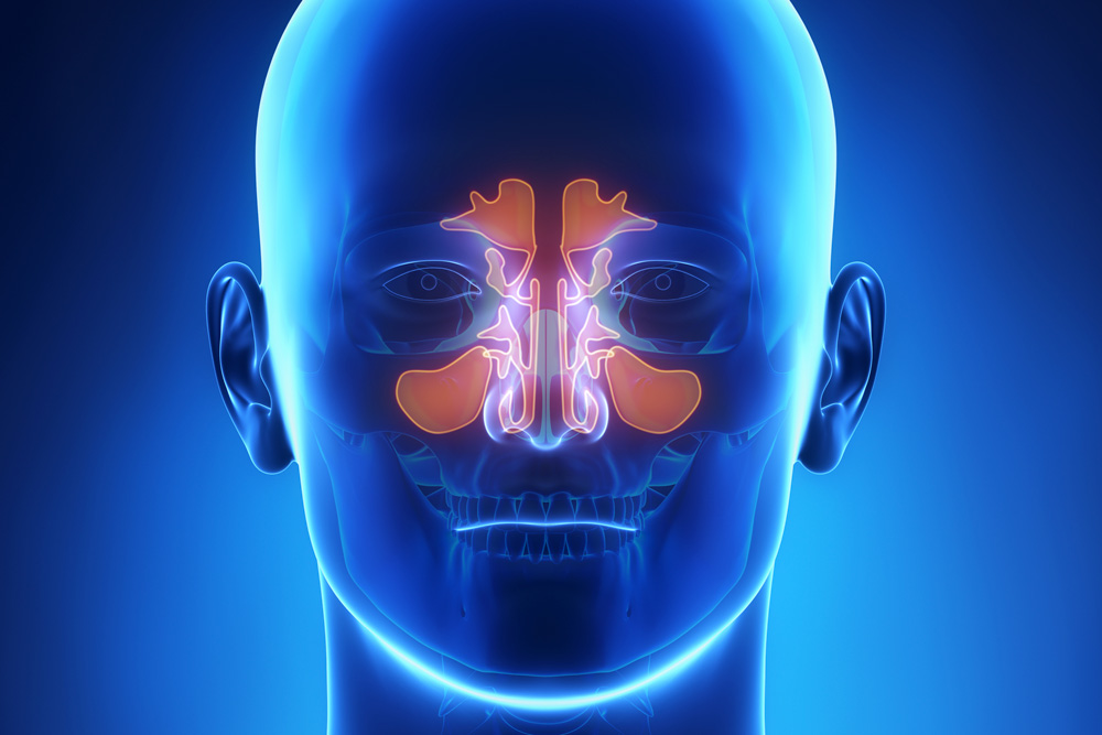 Sinus Infections Signs and Dangers
