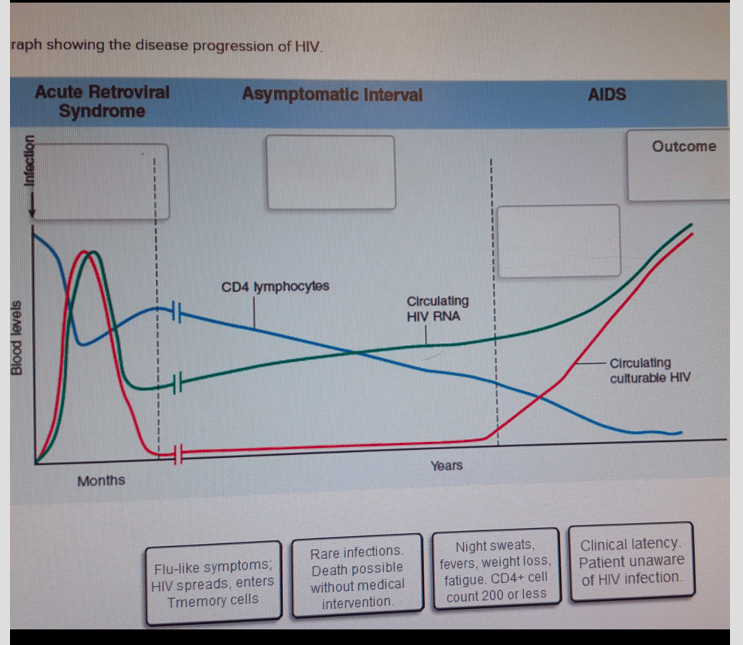 Solved aph showing the disease progression of HIV. Acute