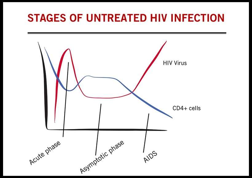 Stages of HIV Infection
