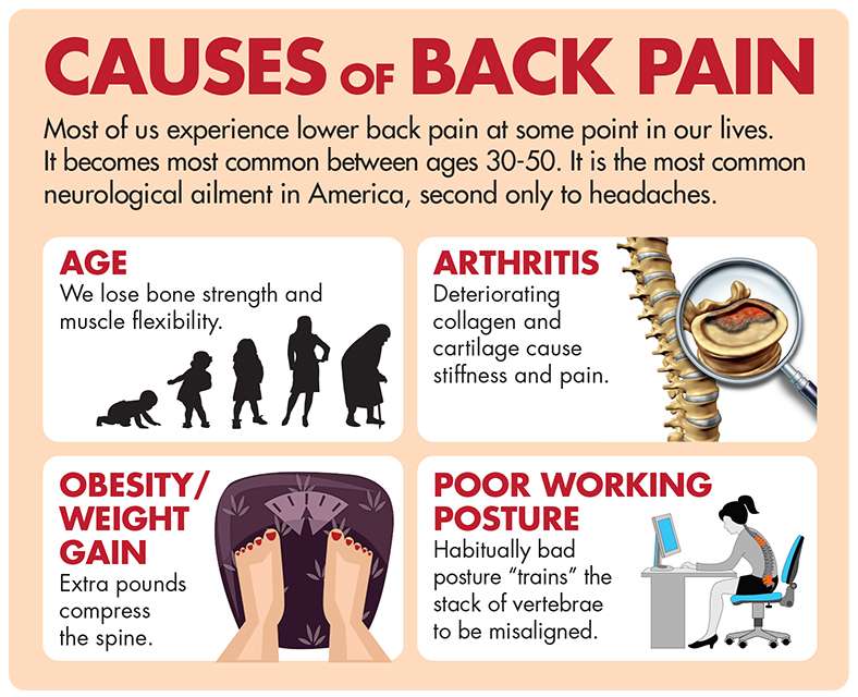 Stop Lower Back PainNaturally and Effectively : Terry ...