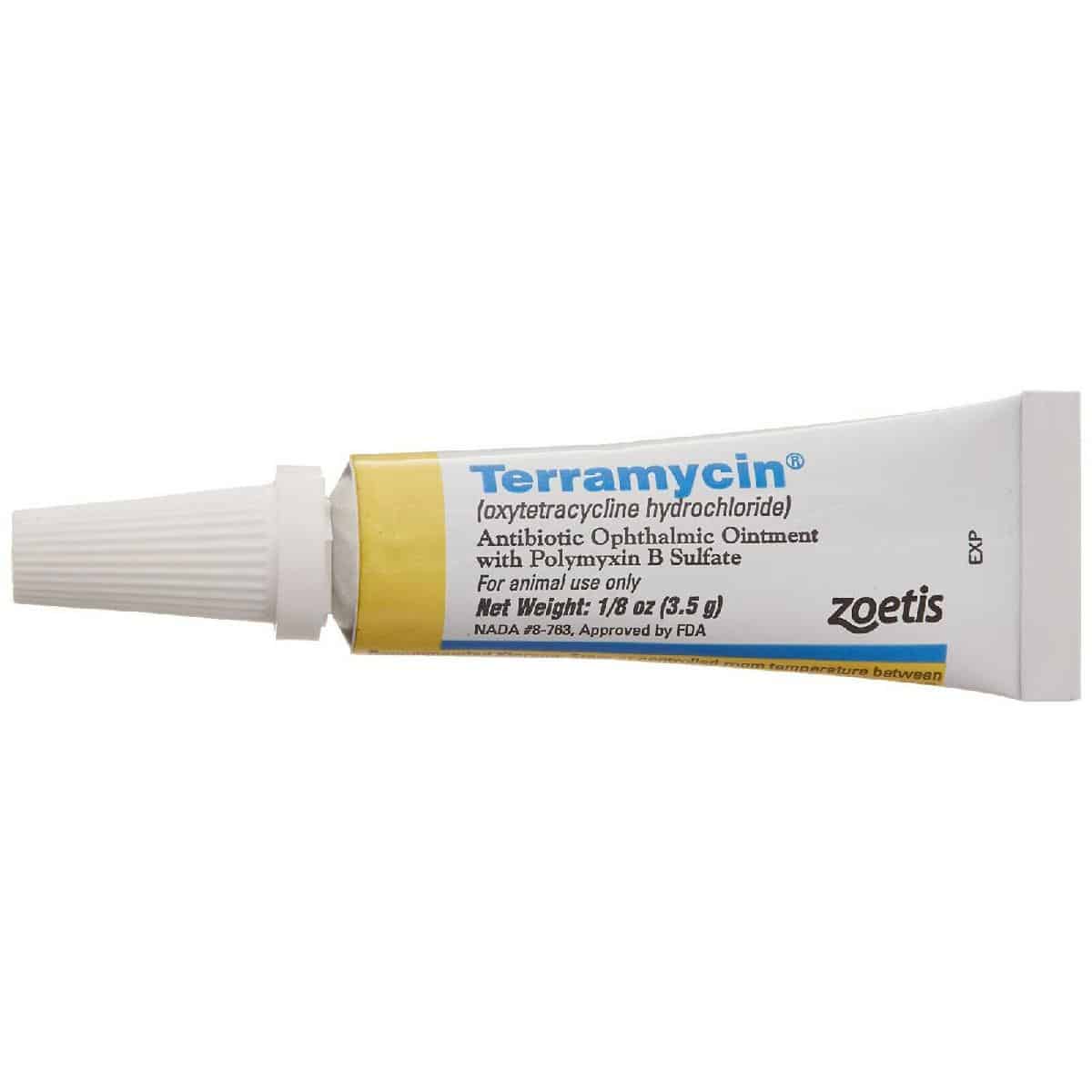 Terramycin Ophthalmic Ointment with Polymyxin B Sulfate for Dogs and ...