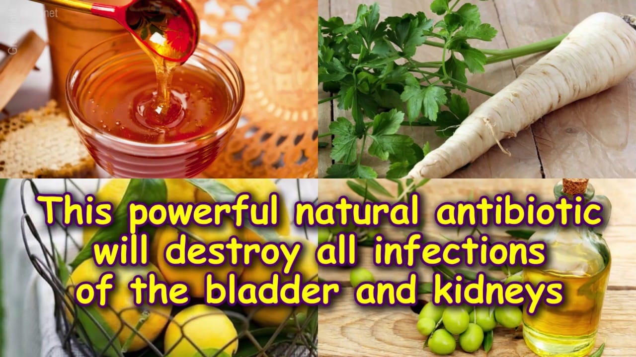 This powerful natural antibiotic will destroy all infections of the ...