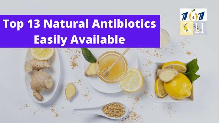 Top 13 Natural Antibiotics Easily Available