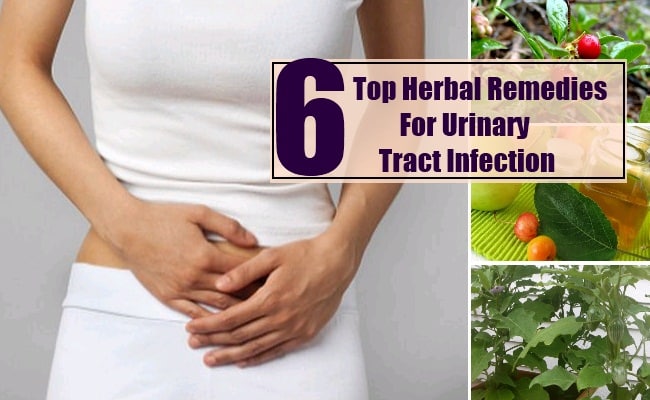 Top 6 Herbal Remedies For Urinary Tract Infection