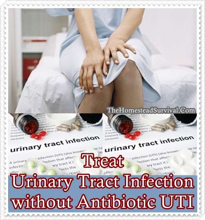 Treat Urinary Tract Infection without Antibiotic UTI