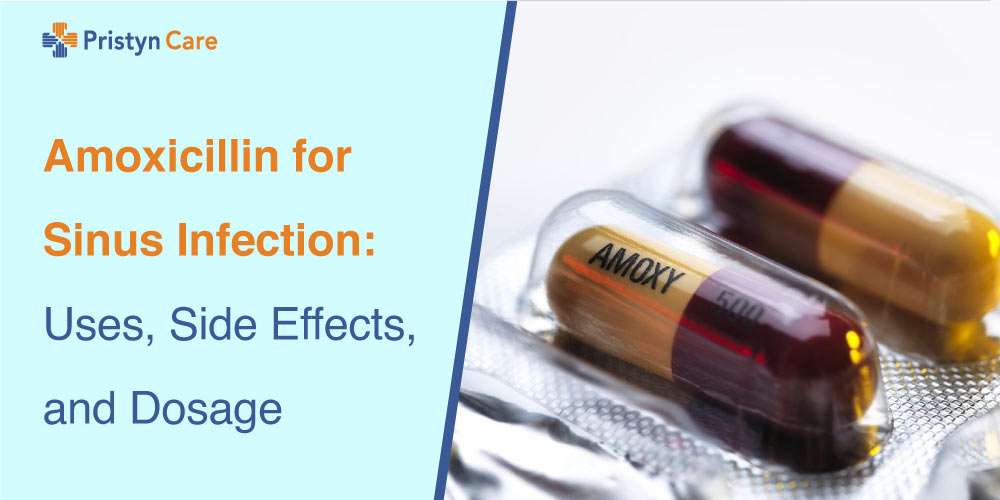 Understanding Amoxicillin For Kidney Infection You Should Know ...