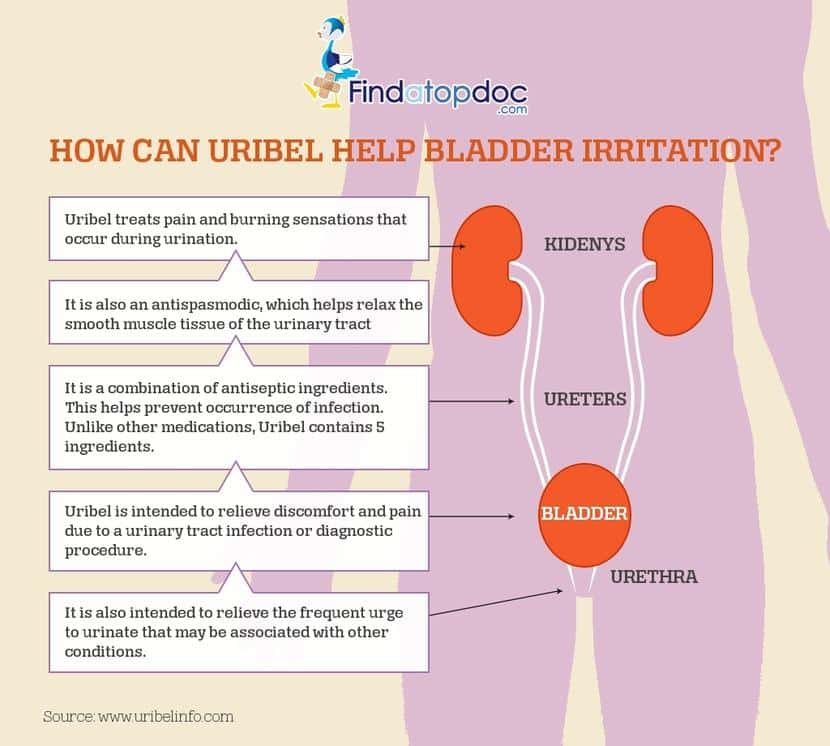 Urinary Tract Infection: Symptoms, Causes, Treatment, and Diagnosis ...