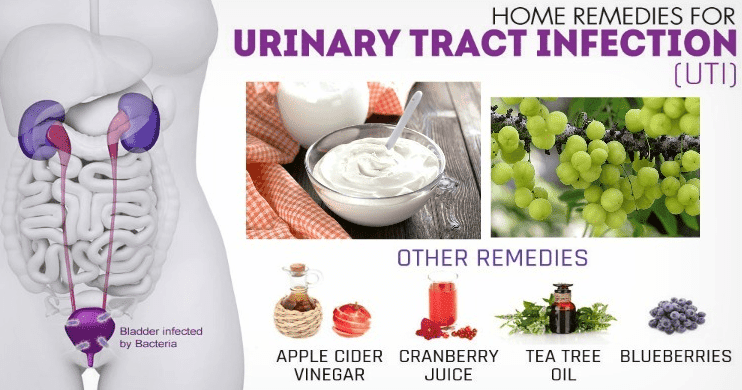 UTI: Symptoms, Natural Treatment &  Home Remedies For UTI In Pregnant ...