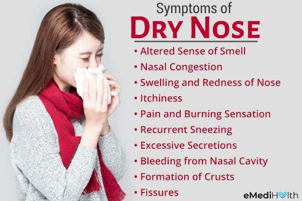 What Causes a Dry Nose and How to Relieve It