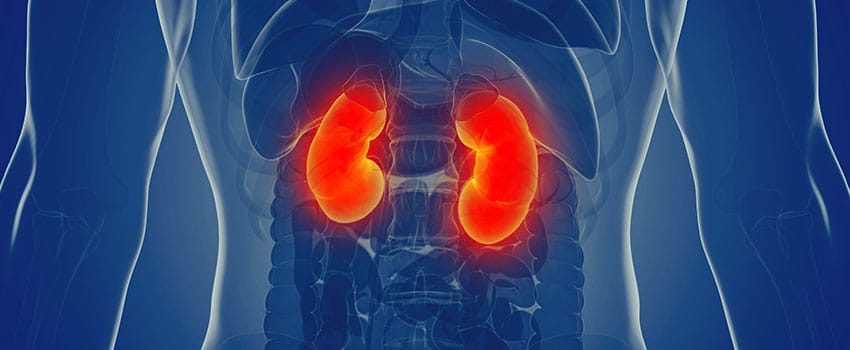 What Do I Need to Know About Kidney Infections?