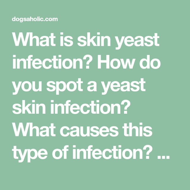 What is skin yeast infection? How do you spot a yeast skin infection ...